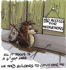 Help us Save the Hedgehog! - Stockport Fencing % Help us Save the Hedgehog! - Stockport Fencing %